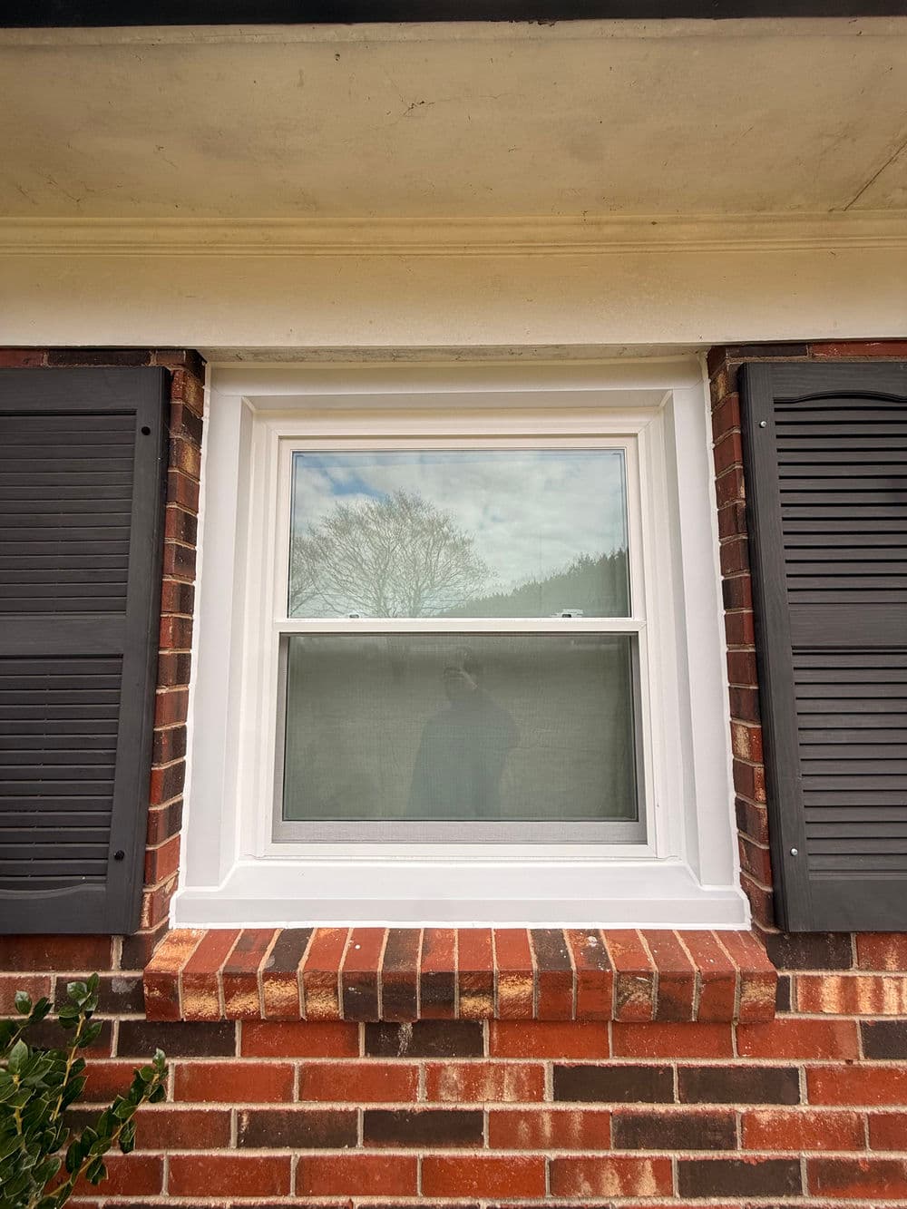 White window with closed shutters on a brick wall, reflecting a tree and cloudy sky.